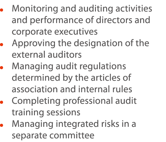     Monitoring and auditing activities and performance of directors and corporate executives    Approving the designa   