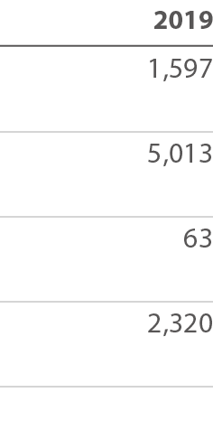 2019 1,597 5,013 63 2,320 