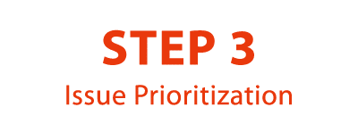 STEP 3 Issue Prioritization