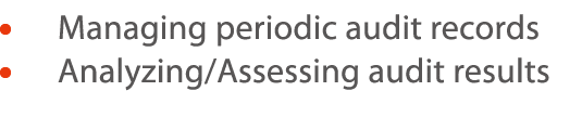       Managing periodic audit records     Analyzing Assessing audit results 