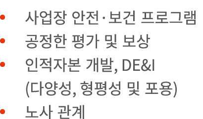                                                   , DE&I (   ,         )             