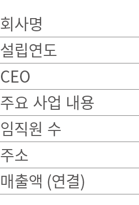            CEO                       (  )