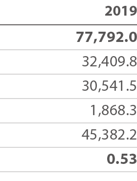 2019 77,792 0 32,409 8 30,541 5   1,868 3 45,382 2 0 53 