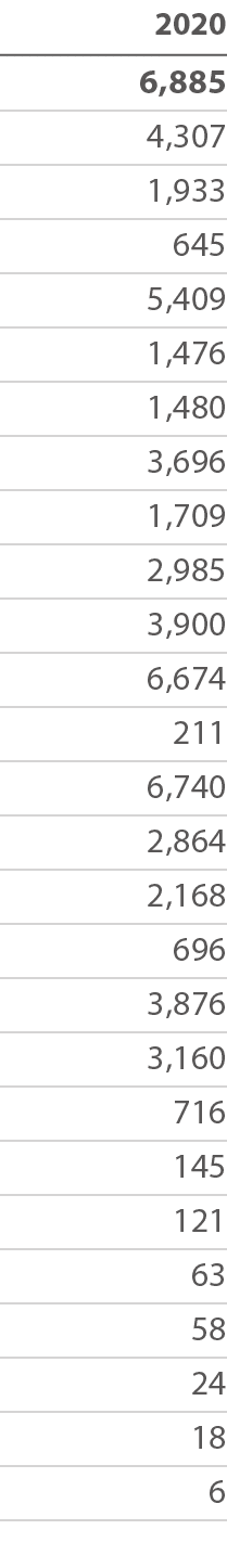 2020  6,885      4,307      1,933        645      5,409      1,476      1,480      3,696      1,709      2,985      3   