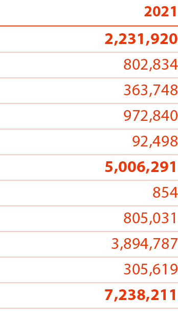 2021 2,231,920 802,834 363,748 972,840 92,498 5,006,291 854 805,031 3,894,787 305,619 7,238,211 