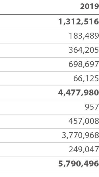 2019 1,312,516 183,489 364,205 698,697 66,125 4,477,980 957 457,008 3,770,968 249,047 5,790,496 