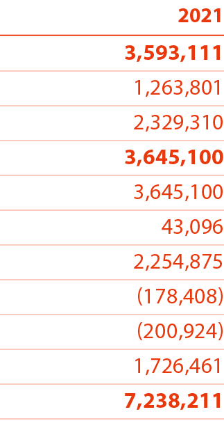 2021 3,593,111 1,263,801 2,329,310 3,645,100 3,645,100 43,096 2,254,875 (178,408) (200,924) 1,726,461 7,238,211