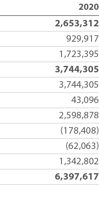 2020 2,653,312 929,917 1,723,395 3,744,305 3,744,305 43,096 2,598,878 (178,408) (62,063) 1,342,802 6,397,617 