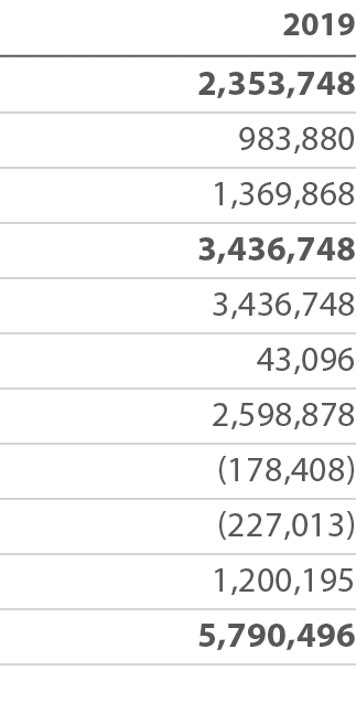 2019 2,353,748 983,880 1,369,868 3,436,748 3,436,748 43,096 2,598,878 (178,408) (227,013) 1,200,195 5,790,496 