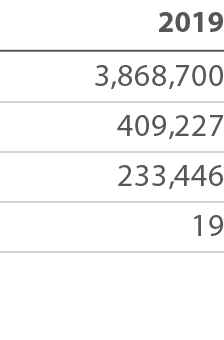 2019 3,868,700 409,227 233,446 19 