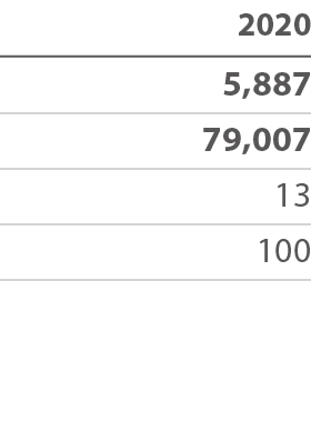 2020 5,887 79,007 13 100 
