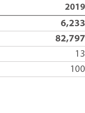 2019 6,233 82,797 13 100 
