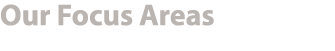 Our Focus Areas 