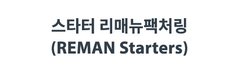            (REMAN Starters)