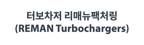             (REMAN Turbochargers)