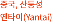   ,        (Yantai)