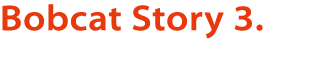Bobcat Story 3 