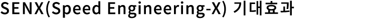 SENX(Speed Engineering-X)     