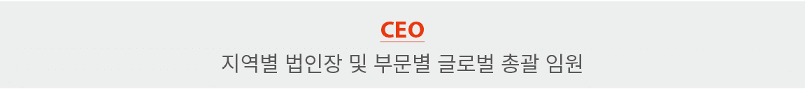CEO                        