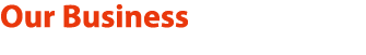 Our Business