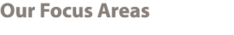 Our Focus Areas 