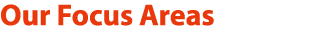 Our Focus Areas 