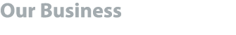 Our Business