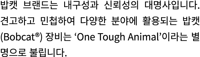                                                    (Bobcat )      One Tough Animal                