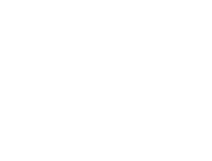 Industrial Vehicle